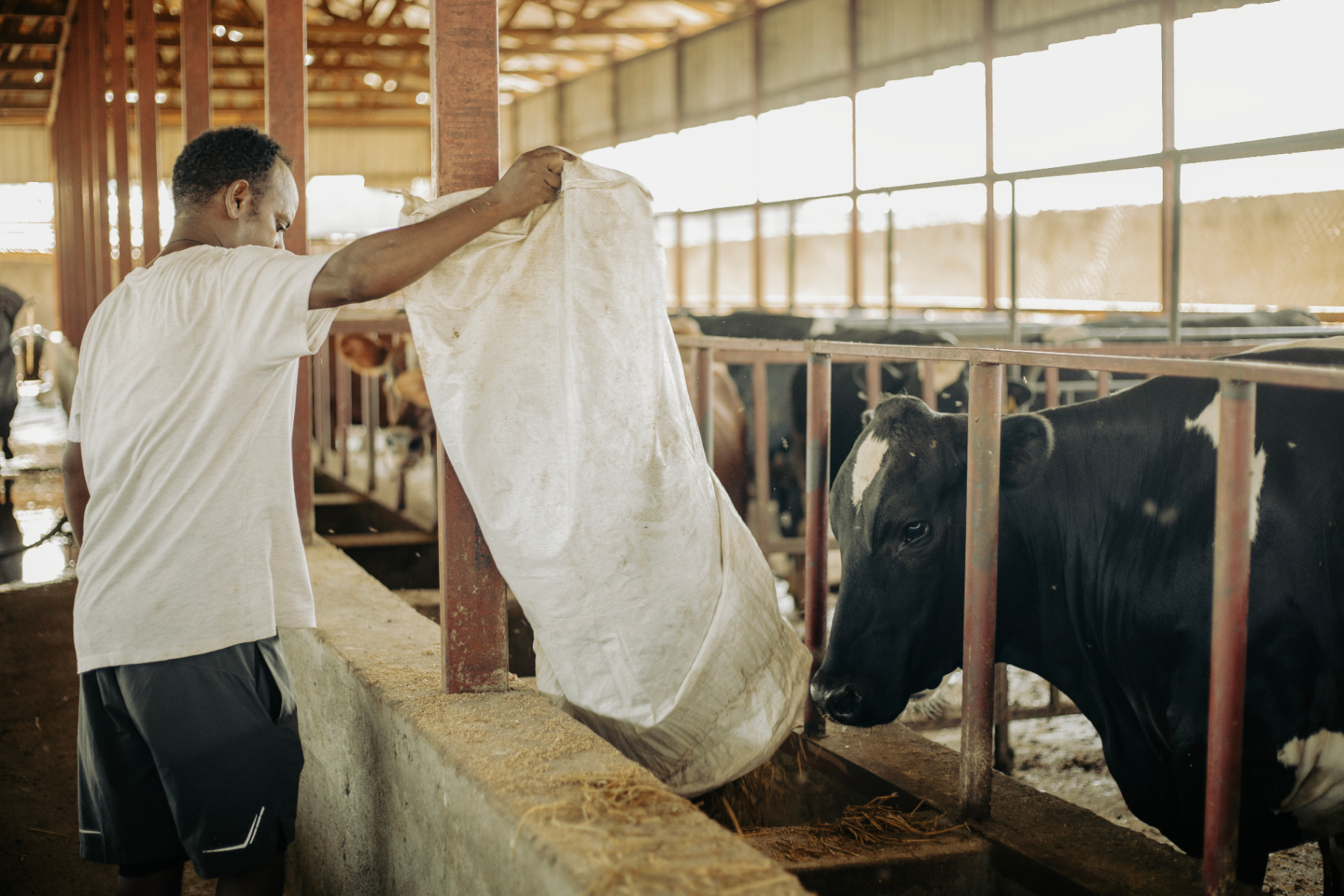 Raw & Pasteurized Dairy