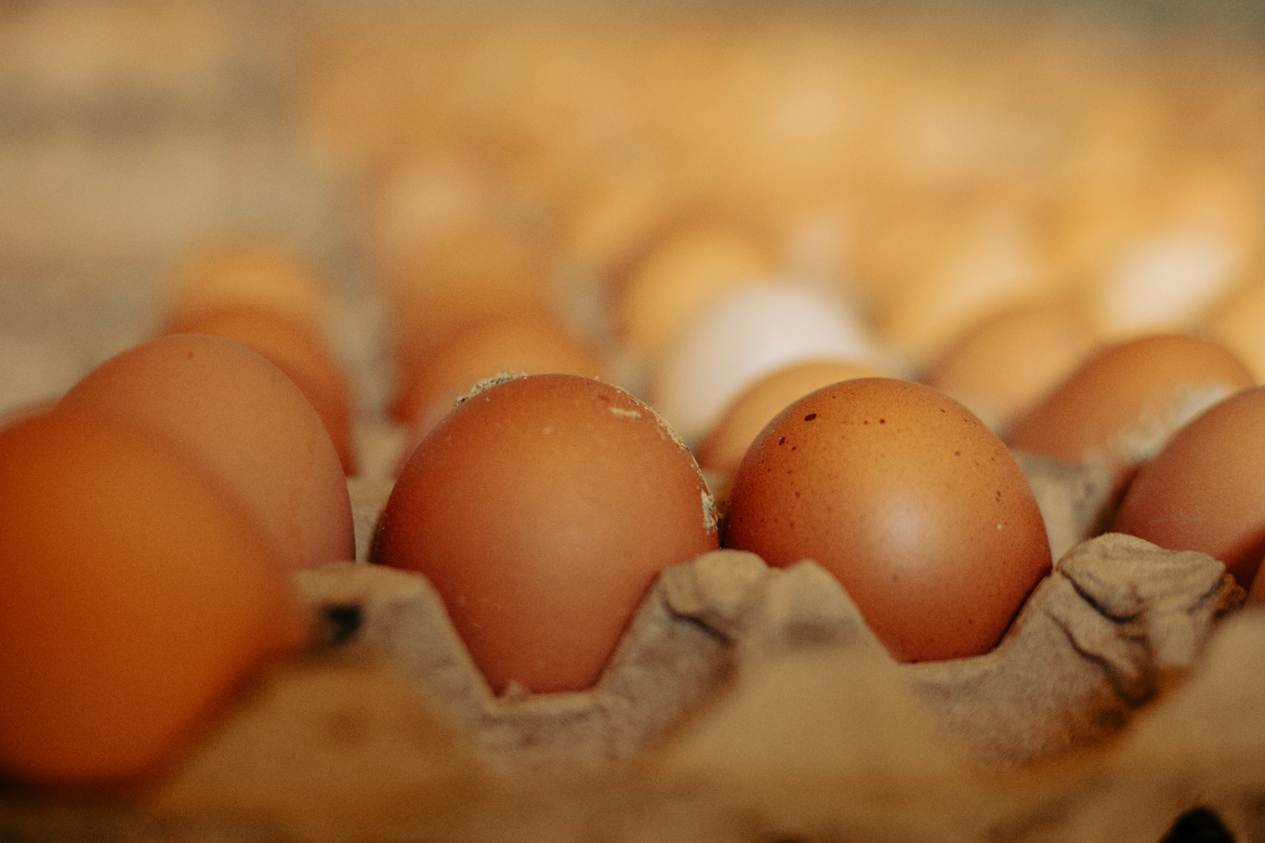Pasture-Raised Eggs